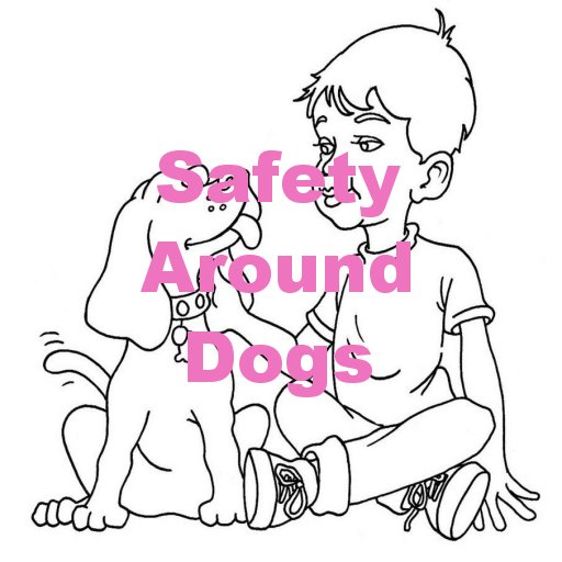 Dog Safety